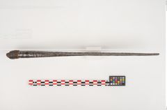 Foto von Eisenlanzenspitze (NHMW-PRAE-002269)